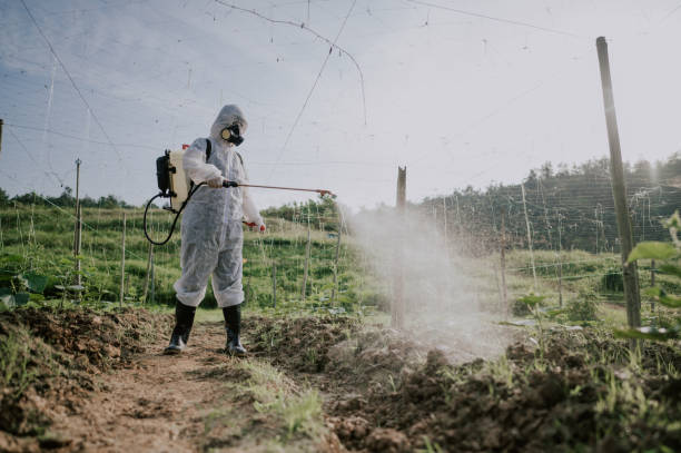 Best Mosquito Control Services  in Candler Mcafee, GA