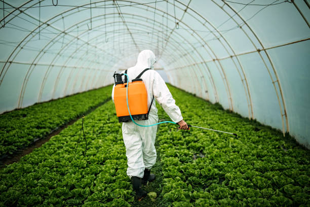 Best Pest Control Near Me in Candler Mcafee, GA