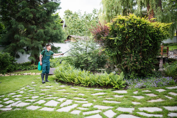 Best Affordable Pest Control Services  in Candler Mcafee, GA