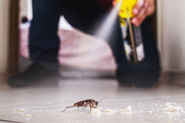 Best Exterminator Services  in Candler Mcafee, GA