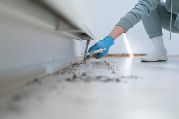 Best Affordable Pest Control Services  in Candler Mcafee, GA